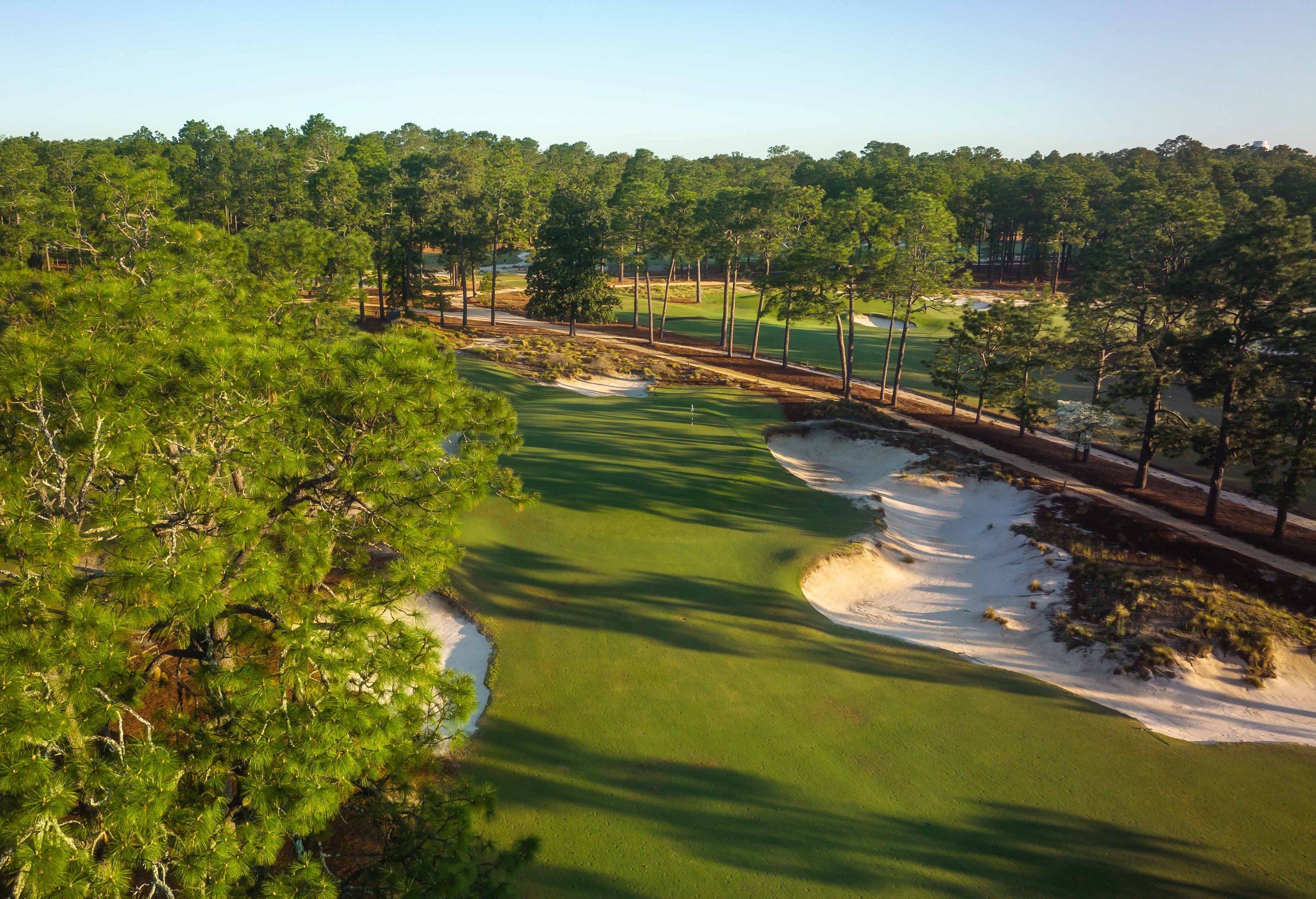 Pinehurst No. 2 — PJKoenig Golf Photography